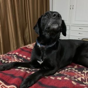 Meet your Posher, Jon